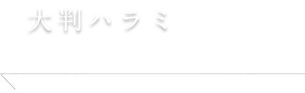 大判ハラミ